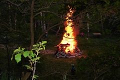 walpurgisnacht_2007