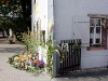 Image12