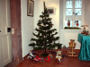 bild-19