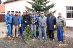 Weihnachtsbaum 2012